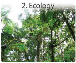 Ecosystems and Ecology